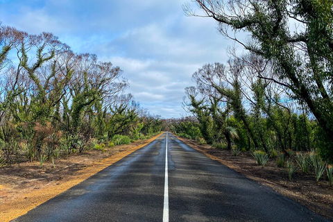 2 Day Ultimate Kangaroo Island With Return Ferry - Accommodation Adelaide 4
