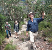 Small-Group Blue Mountains Tour with Bush Walks and Featherdale Wildlife Park - Accommodation Adelaide