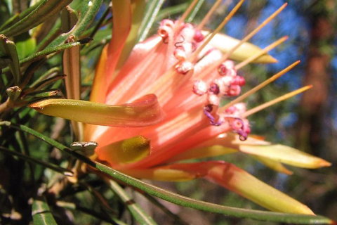 Small-Group Blue Mountains Tour With Bush Walks And Featherdale Wildlife Park - Accommodation Adelaide 4