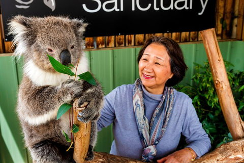 Moonlit Sanctuary Wildlife Conservation Park Daytime General Entry Ticket - Accommodation Adelaide 0