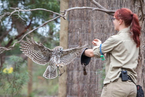 Moonlit Sanctuary Wildlife Conservation Park Daytime General Entry Ticket - Accommodation Adelaide 1