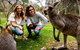 Moonlit Sanctuary Wildlife Conservation Park Daytime General Entry Ticket - thumb 2