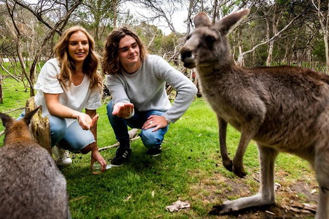 Moonlit Sanctuary Wildlife Conservation Park Daytime General Entry Ticket - Accommodation Adelaide 2