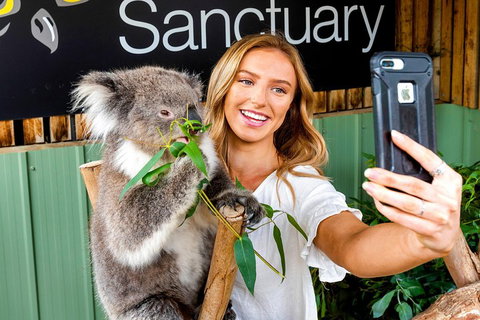 Moonlit Sanctuary Wildlife Conservation Park Daytime General Entry Ticket - Accommodation Adelaide 4