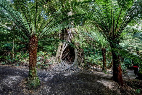 Adelaide To Melbourne 3-Day Trip Through Grampians And Great Ocean Road - Accommodation Adelaide 0