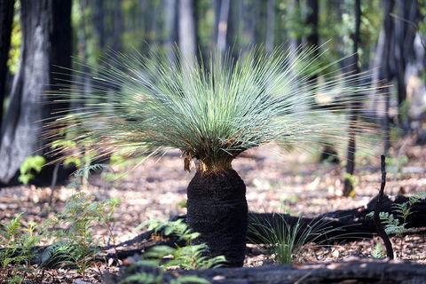 Adelaide To Melbourne 3-Day Trip Through Grampians And Great Ocean Road - Accommodation Adelaide 4