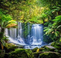 Day Tour in Mt. Field Mt. Wellington Bonorong Wildlife Sanctuary and Richmond - Accommodation Adelaide