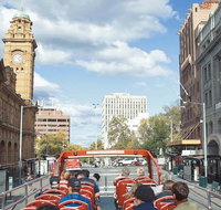 Hobart Hop-On Hop-Off Bus  kunanyi/Mt Wellington Tour - Accommodation Adelaide