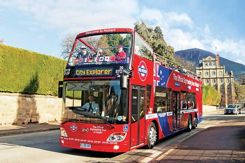 Hobart Hop-On Hop-Off Bus & Kunanyi/Mt Wellington Tour - Accommodation Adelaide 4