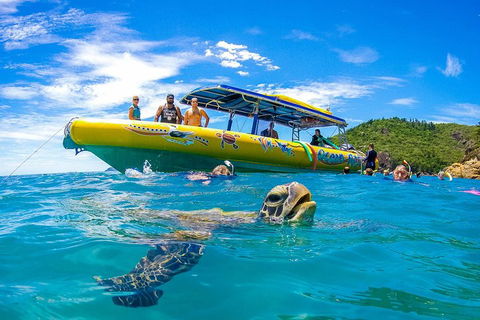 Great Barrier Reef Scenic Flight And Ocean Rafting Whitehaven Beach Day Trip - Accommodation Adelaide 1