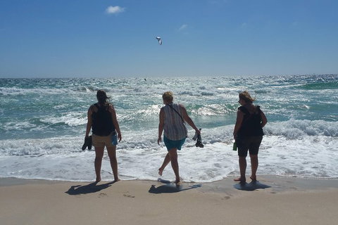 Very Best Of Perth Tour - Wildlife Park & City Highlights Tour - Accommodation Adelaide 5