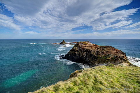 Small-Group Phillip Island Day Trip From Melbourne With Penguin Plus Viewing - Accommodation Adelaide 0