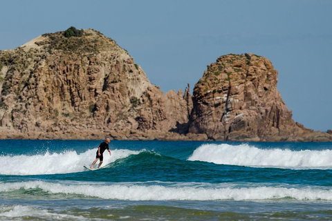 Small-Group Phillip Island Day Trip From Melbourne With Penguin Plus Viewing - Accommodation Adelaide 3