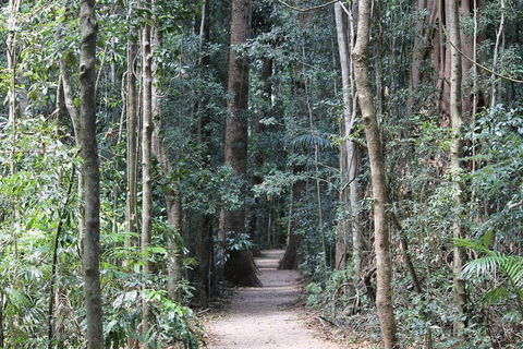 Eumundi Markets And Sunshine Coast Day Trip From Brisbane - Accommodation Adelaide 4