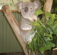 Blue Mountains Private Full-Day Tour from Sydney with Cruise - Accommodation Adelaide
