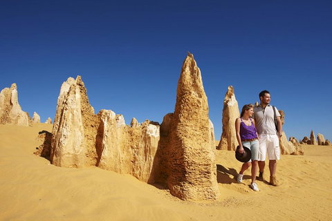 Pinnacles Day Trip From Perth Including Yanchep National Park - Accommodation Adelaide 0
