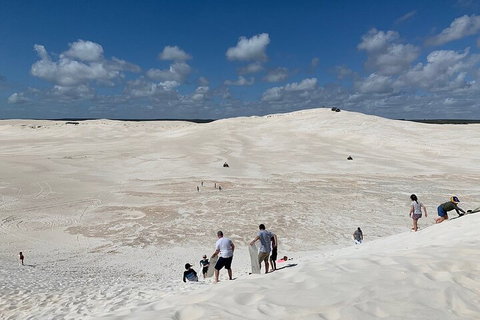 Pinnacles Day Trip From Perth Including Yanchep National Park - Accommodation Adelaide 2