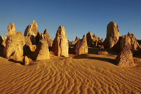 Pinnacles Day Trip From Perth Including Yanchep National Park - Accommodation Adelaide 5