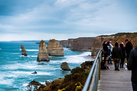 Great Ocean Road & Phillip Island - 3 Days, 2 Nights - Accommodation Adelaide 1