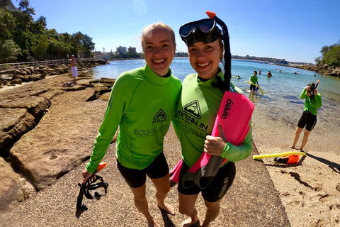 Manly Snorkel Trip And Nature Walk With Local Guide - Accommodation Adelaide 1