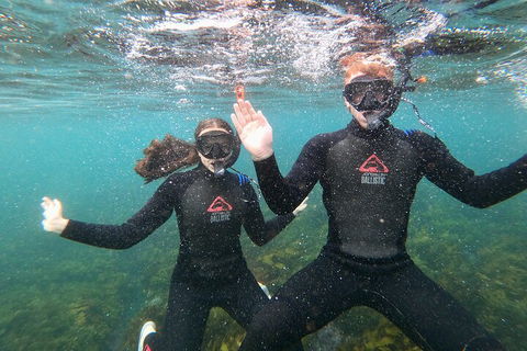 Manly Snorkel Trip And Nature Walk With Local Guide - Accommodation Adelaide 3