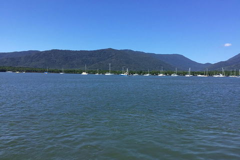 Cairns City Tour - Accommodation Adelaide 3