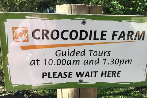 Cairns City Tour - Accommodation Adelaide 5