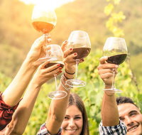 Adelaide Hills Day Tour. Winery Cellar Doors - Accommodation Adelaide