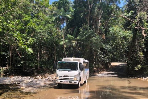 Cairns To Cooktown 4WD Tour - Accommodation Adelaide 5