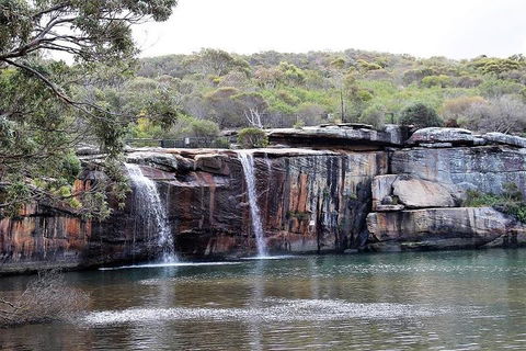 Royal National Park Tour - Accommodation Adelaide 1