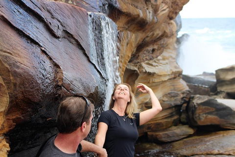 Royal National Park Tour - Accommodation Adelaide 4