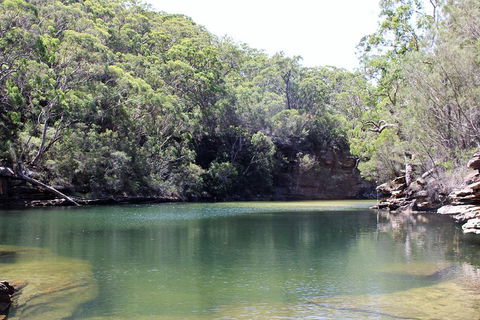 Royal National Park Tour - Accommodation Adelaide 5