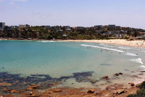 Half Day Manly Beach And More - Accommodation Adelaide 2
