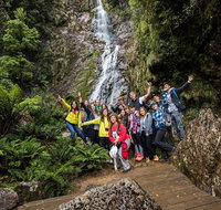 5-Day Lap of Tasmania Tour from Hobart flexible ticket - Accommodation Adelaide