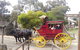 Ballarat Gold Fields Tour - thumb 2