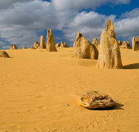 The Pinnacles Sea and Dunescapes Bush Reserve and Sunset Day Tour - Accommodation Adelaide