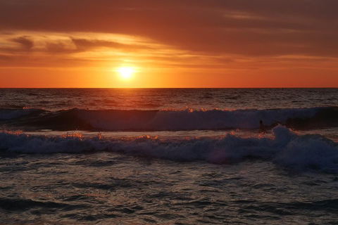 Australian Animals, Seascape And Sunset Photography Tour - Accommodation Adelaide 5