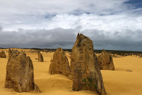 Private Pinnacles Day Tour - Accommodation Adelaide 1