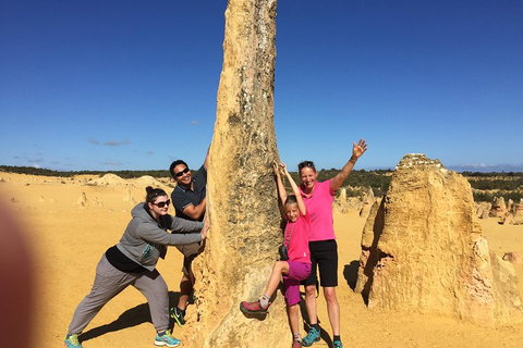 Private Pinnacles Day Tour - Accommodation Adelaide 4