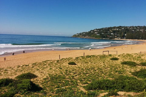 Manly & Sydney's Northern Beaches With 'Personalised Sydney Tours' - Accommodation Adelaide 5