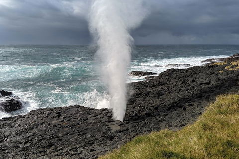Erupting Blowholes And Ancient Rainforests With 'Personalised Sydney Tours' - Accommodation Adelaide 1
