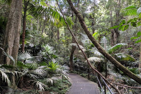 Erupting Blowholes And Ancient Rainforests With 'Personalised Sydney Tours' - Accommodation Adelaide 2