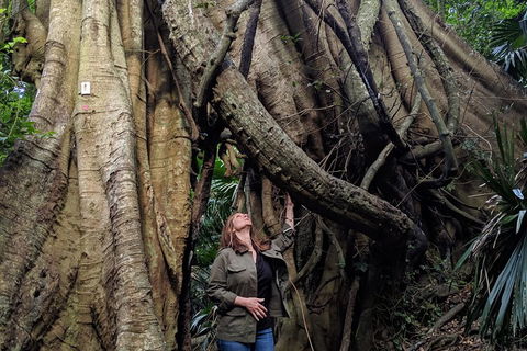 Erupting Blowholes And Ancient Rainforests With 'Personalised Sydney Tours' - Accommodation Adelaide 4