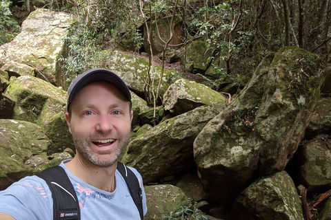 Australian Wildlife & Waterfalls Private Tour With 'Personalised Sydney Tours' - Accommodation Adelaide 4