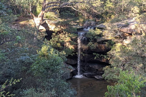 Australian Wildlife & Waterfalls Private Tour With 'Personalised Sydney Tours' - Accommodation Adelaide 5