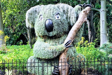Discover Sydney - Botanic - Accommodation Adelaide 1
