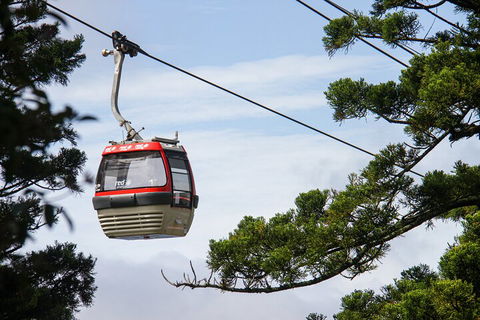 Sydney Taronga Zoo General Entry Ticket And Wild Australia Experience - Accommodation Adelaide 2