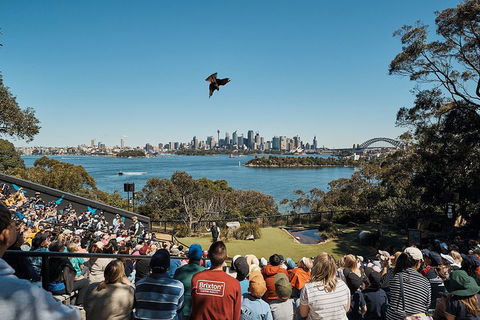 Sydney Taronga Zoo General Entry Ticket And Wild Australia Experience - Accommodation Adelaide 5
