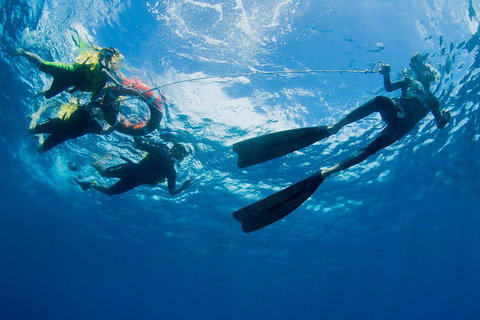 Passions Of Paradise Great Barrier Reef Snorkel And Dive Cruise From Cairns By Luxury Catamaran - Accommodation Adelaide 2