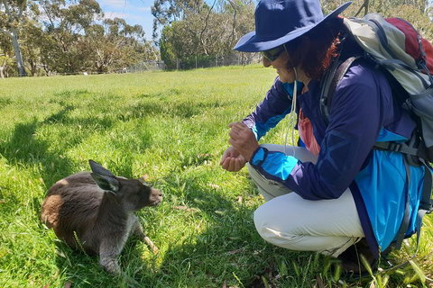 Mount Lofty Hike And Cleland Wildlife Park Day Trip From Adelaide - Accommodation Adelaide 1